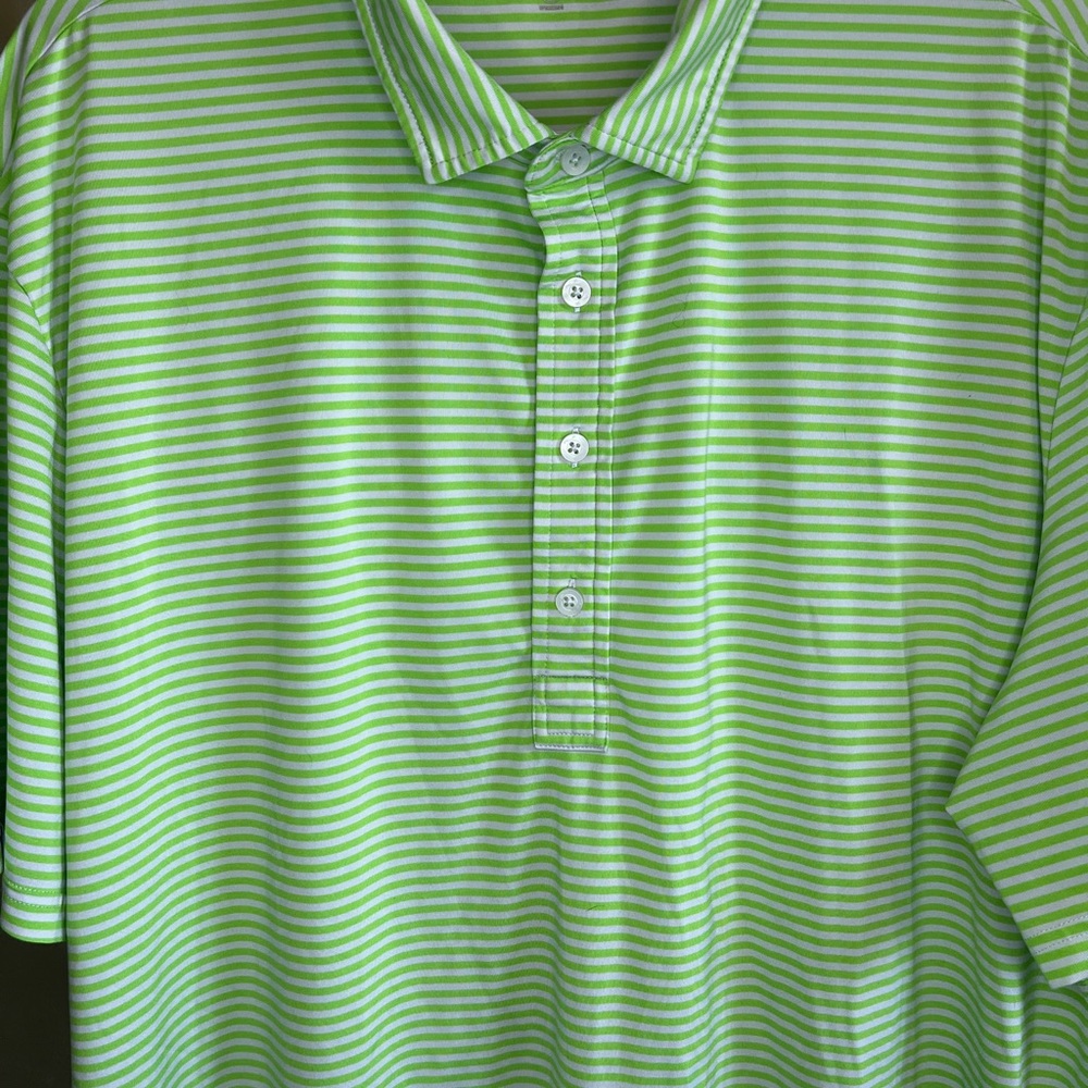 Ralph Lauren Green and White Polo Shirt